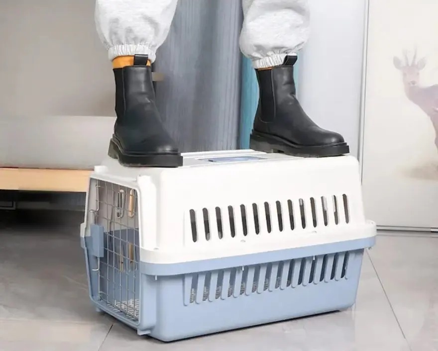 Cage de transport pour animaux – Pratique et colorée