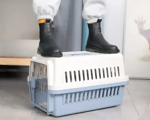 Cage de transport pour animaux – Pratique et colorée